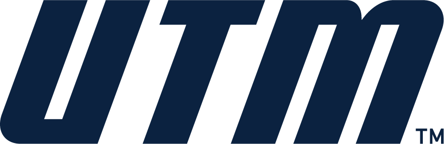 Tennessee-Martin Skyhawks 2020-Pres Wordmark Logo iron on transfers for T-shirts